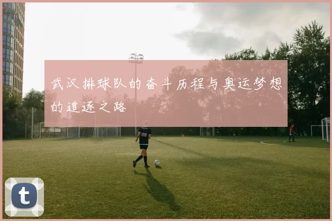 武汉排球队的奋斗历程与奥运梦想的追逐之路