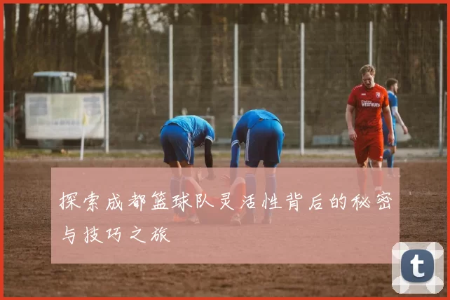 探索成都篮球队灵活性背后的秘密与技巧之旅
